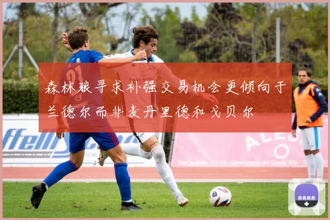森林狼寻求补强交易机会更倾向于兰德尔而非麦丹里德和戈贝尔
