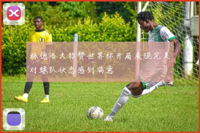 林德洛夫称赞世界杯开局表现完美对球队状态感到满意