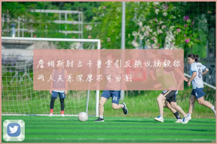 詹姆斯肘击卡鲁索引发热议杨毅称两人关系深厚不可分割