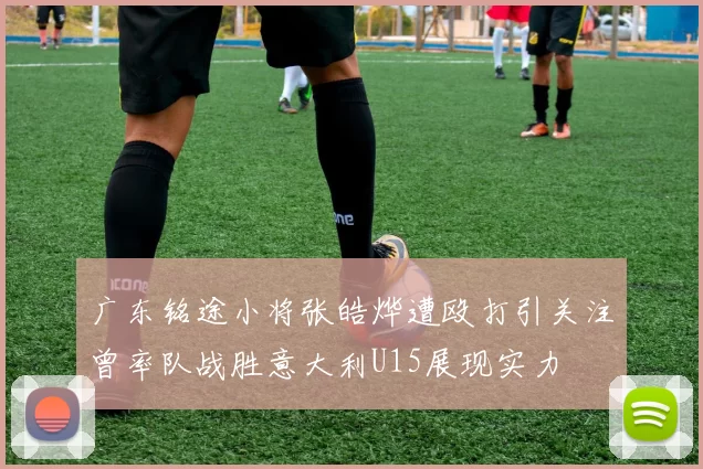 广东铭途小将张皓烨遭殴打引关注曾率队战胜意大利U15展现实力