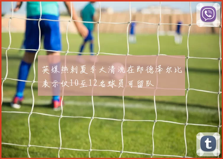 英媒热刺夏季大清洗在即德泽尔比表示仅10至12名球员可留队